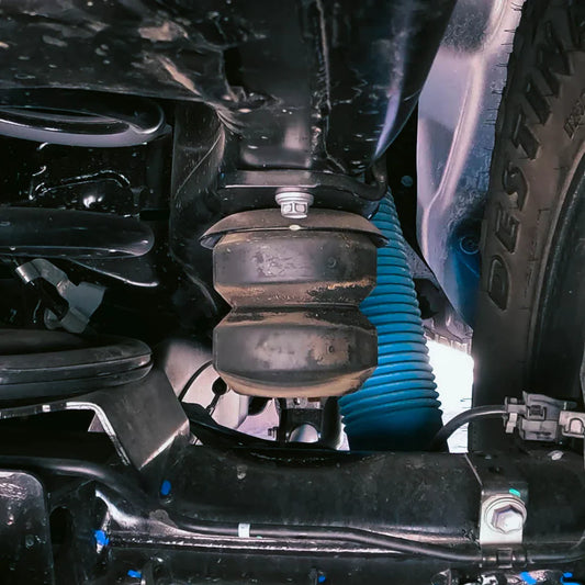 Active Off-Road Rear Bump Stops Land Cruiser (2024+)